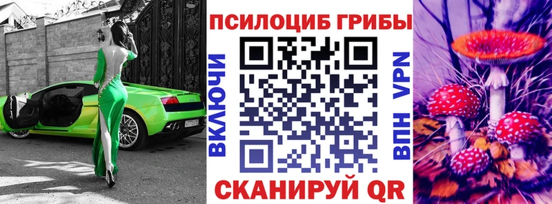 Псилоцибиновые грибы Psilocybine cubensis  Мыски 