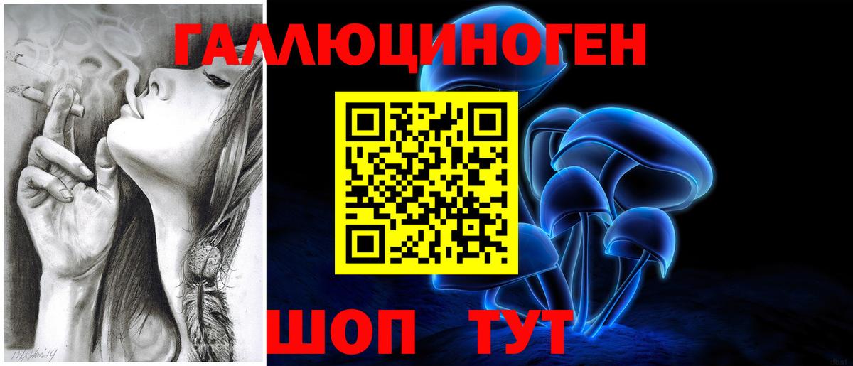 Мыски  Галлюциногенные грибы Psilocybine cubensis  Вход с VPN 